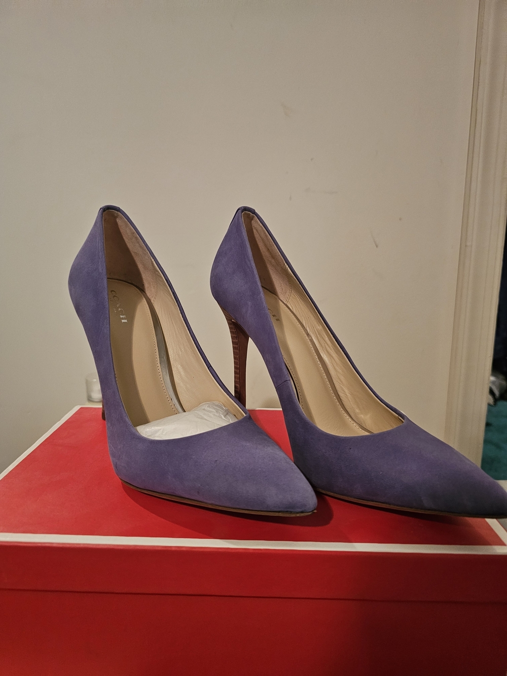 Coach Harlee Nubuck Porcelain Blue / Lavender Suede Pointed-Toe Stiletto Pumps